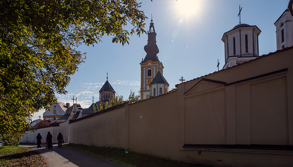06_Privina glava_Blog_7