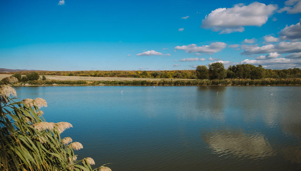 Jezero Vranjaš-8312