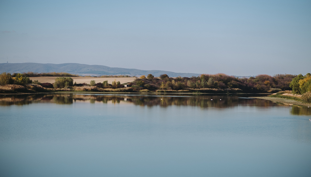 Ljukovo (Jarkovci)-8561